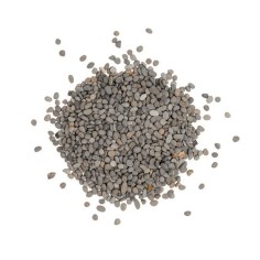 AqPet Wild Sand 2-3mm 5kg - sabbia naturale per acqua dolce 2