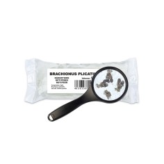 Cibo Vivo Red Rotifer confezione da 90ml - rotiferi vivi