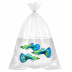 Busta per Trasporto Pesci 80um cm20x50 - 50 pezzi