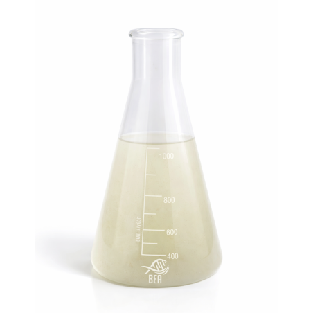 Bea Bio Boost 1000ml - Selezione di microfauna (meiobenthos, microbenthos, nanobenthos) e batteri benefici