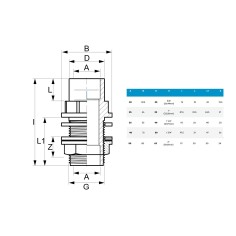 PVC Attacco Serbatoio ad incollaggio femmina Diametro 20mm 2