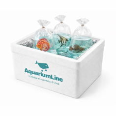 Contenitore Isotermico - Trasporto Pesci