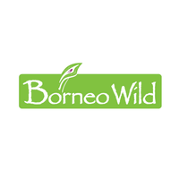 Borneo Wild