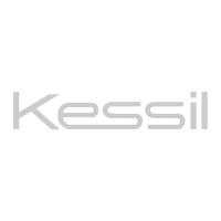 Kessil
