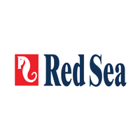 Red Sea