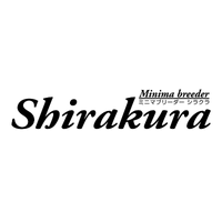 Shirakura